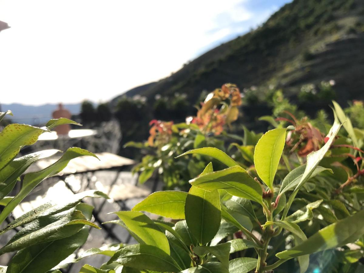Borgo Manca Suite Sasso di Castalda Bagian luar foto