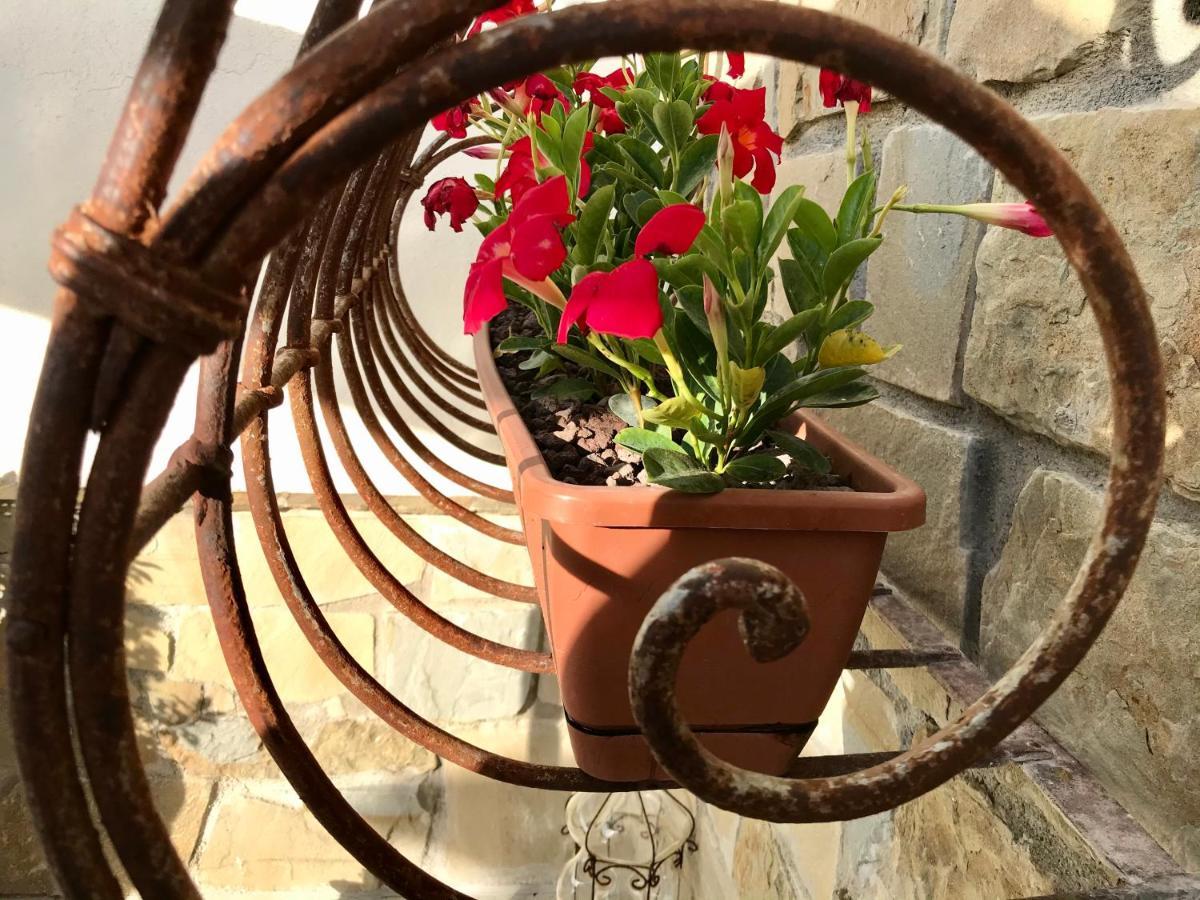 Borgo Manca Suite Sasso di Castalda Bagian luar foto